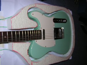A guitar inside poly shell